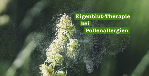 heilpraktiker eigenblut