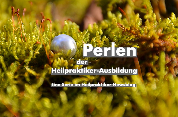 heilpraktiker